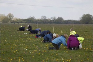 Volunteers counting Snakeshead Fritillaries in 2012. Photo credit: Mike Dodd