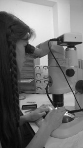 Felicity Mundy, working at the microscope on her Nuffield Placement